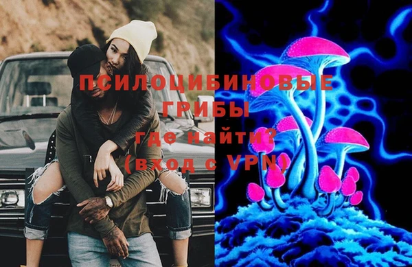 бошки Магас
