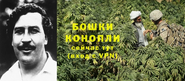 бошки Магас