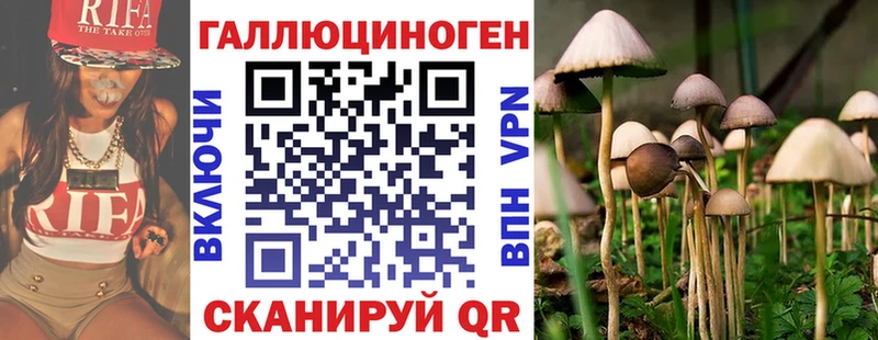 Галлюциногенные грибы прущие грибы MEGA tor Чекалин